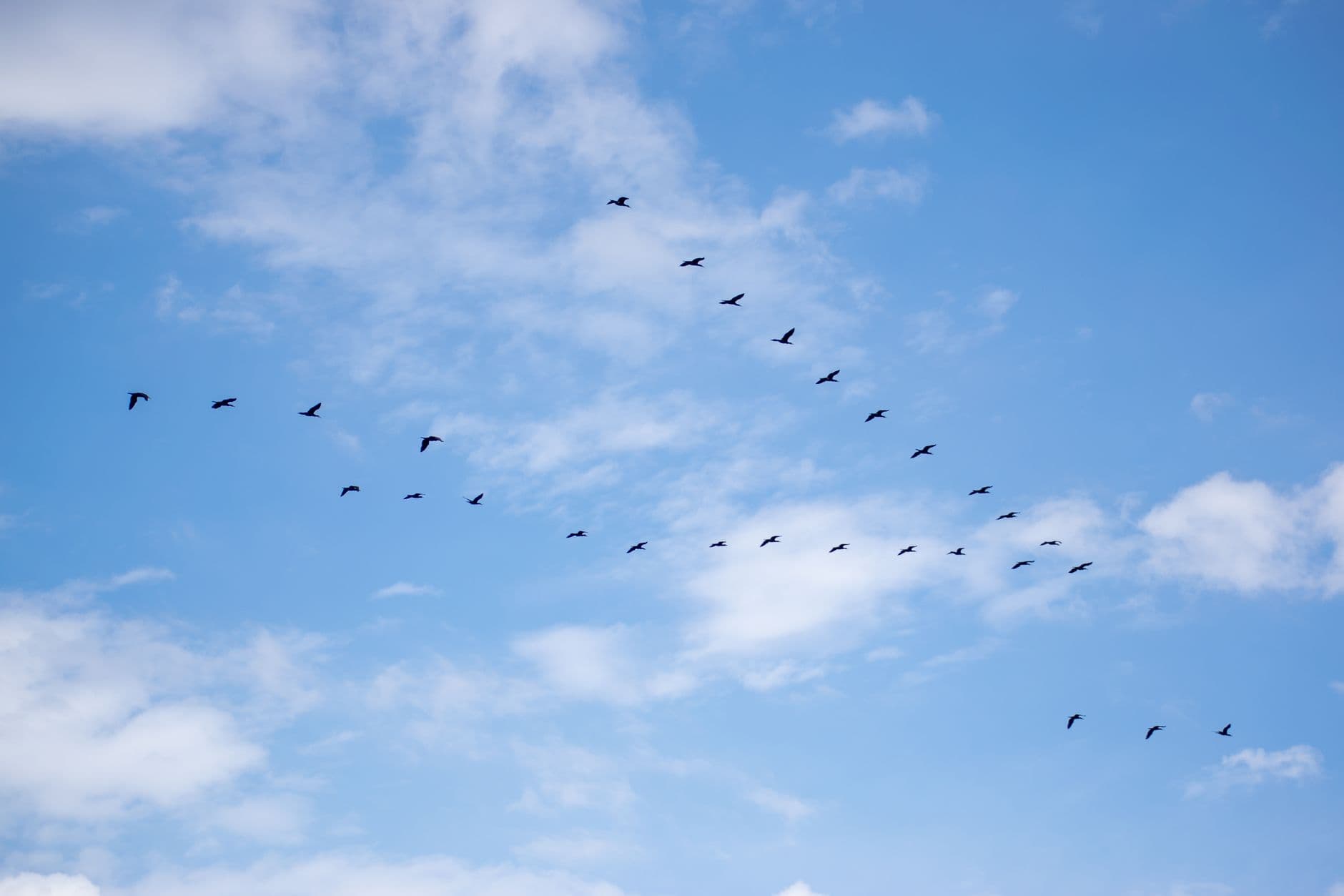 Zero-Downtime Cloud Identity Migration from AD