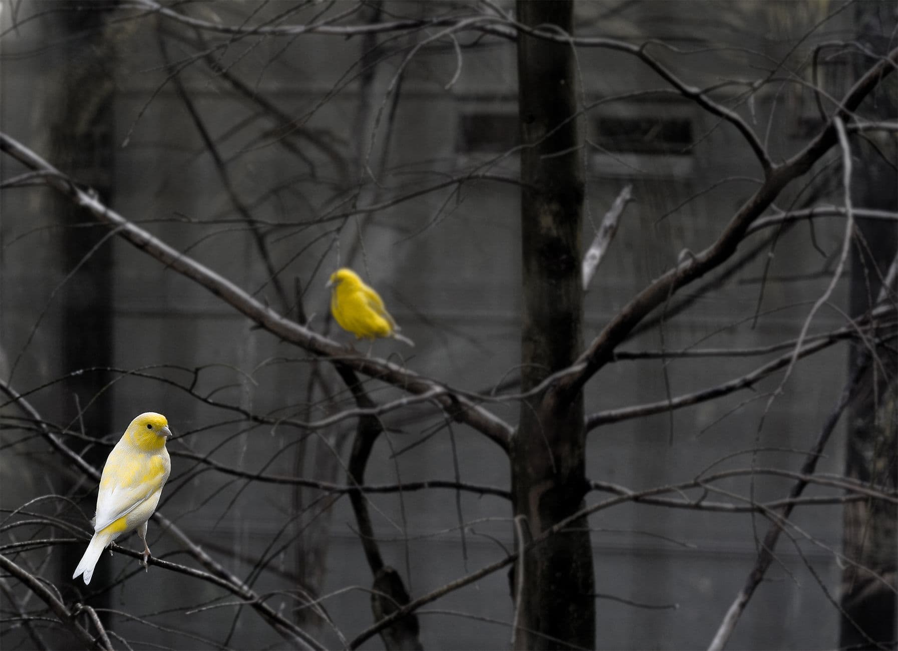 Mitigating Canary Analysis Flapping at Scale